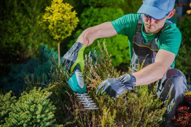landscaping services Shrewsbury